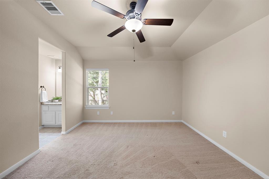 117 Lamar Canyon Lane, Friendswood, Texas image 23
