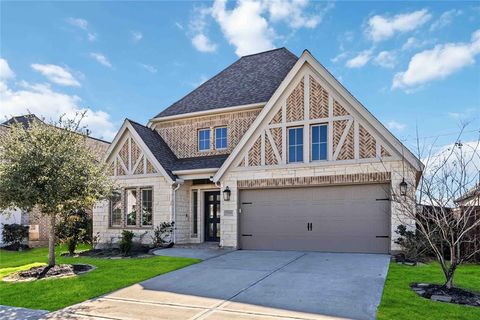 A home in Iowa Colony
