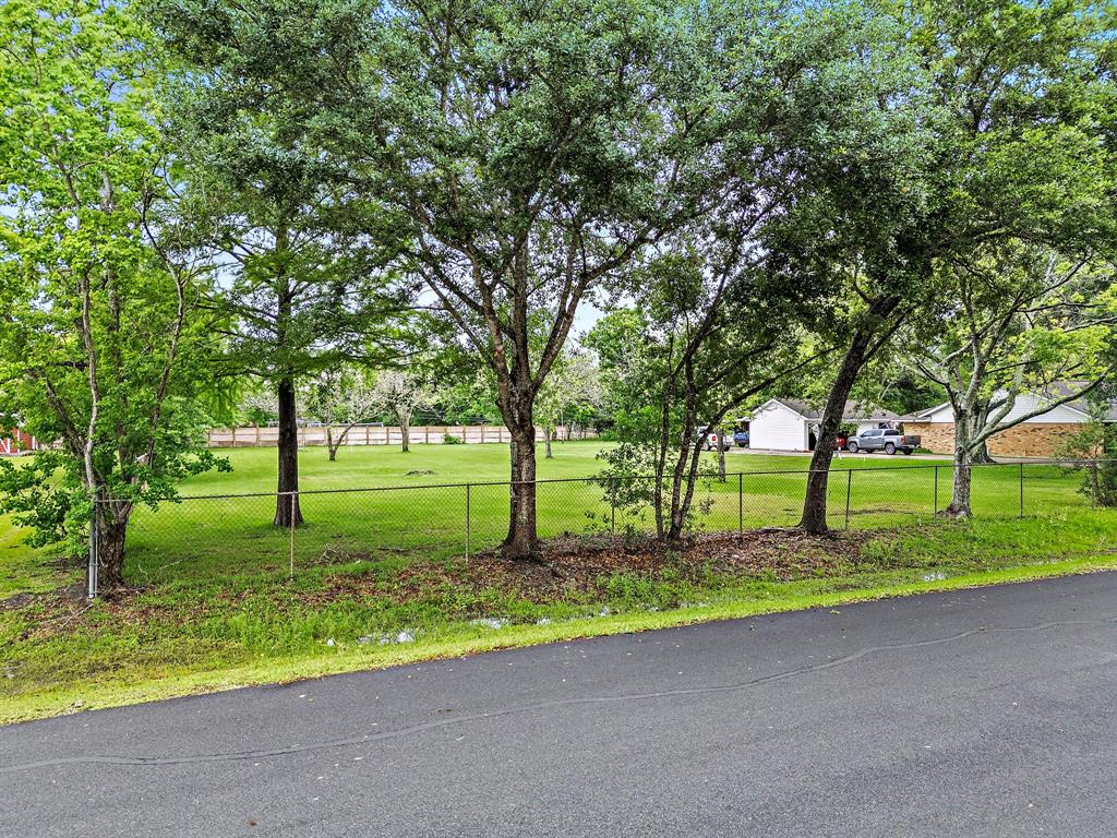 0000 Thelma Street, Pearland, Texas image 3