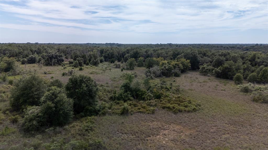 123 County Rd 935, Teague, Texas image 17