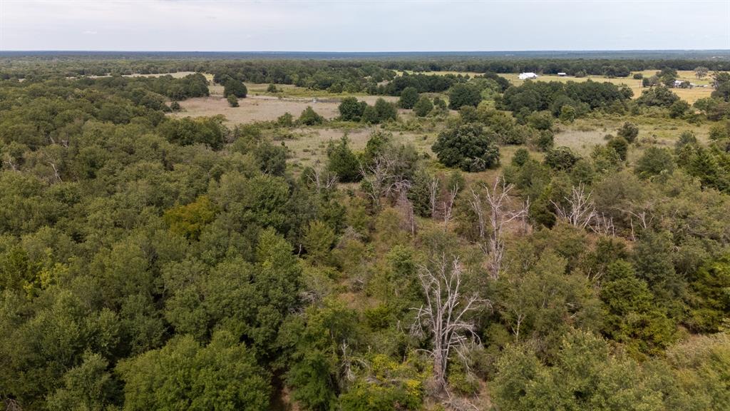 123 County Rd 935, Teague, Texas image 23