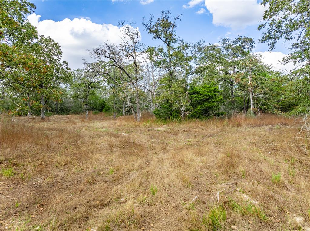 000 Schulle Road, Round Top, Texas image 4