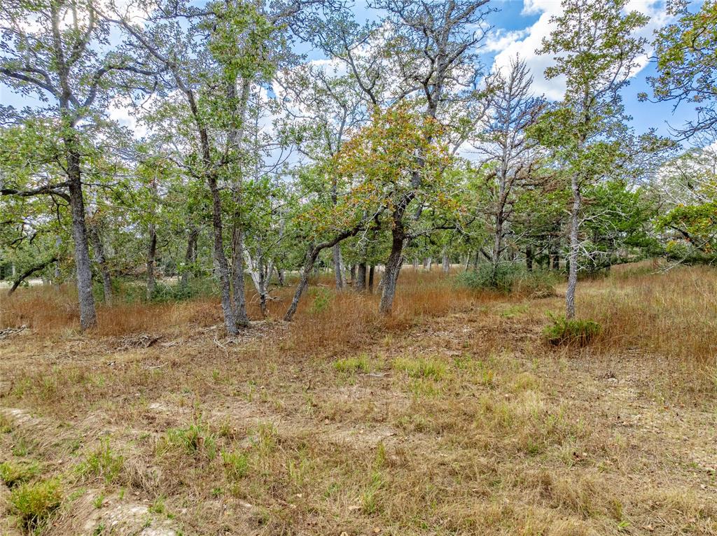 000 Schulle Road, Round Top, Texas image 3