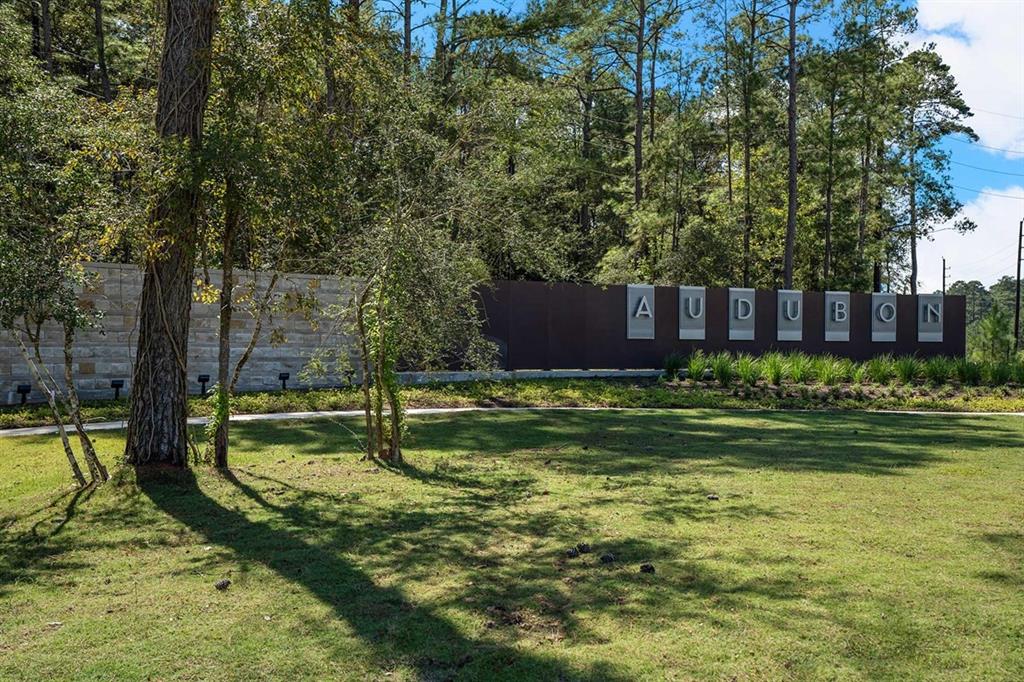 525 Red Eyed Vireo Court, Magnolia, Texas image 41