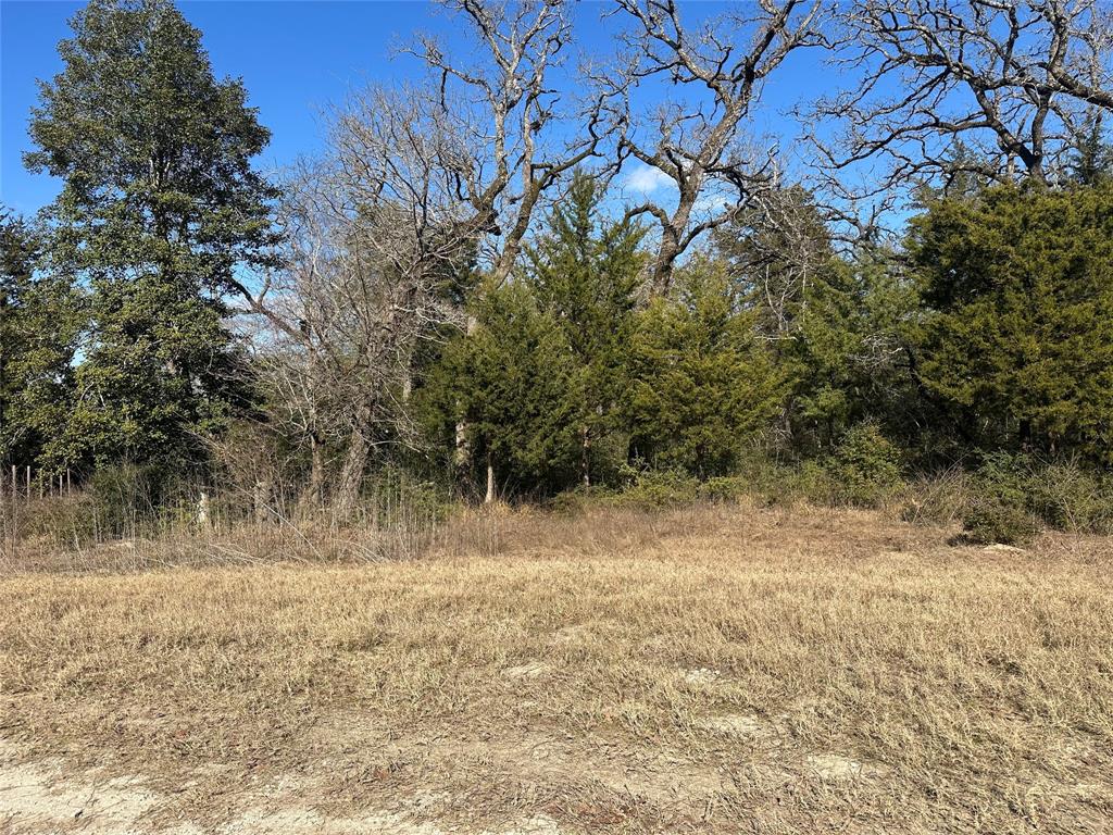 3Ac Cr 2751, Buffalo, Texas image 1