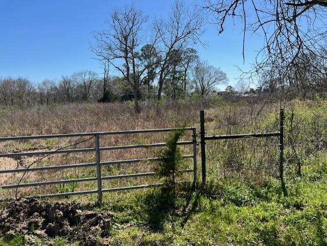 Woodland Lane, Dayton, Texas image 5