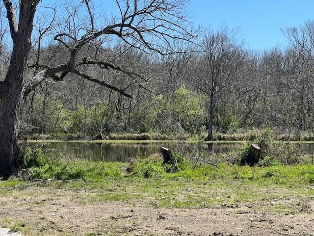 Woodland Lane, Dayton, Texas image 8