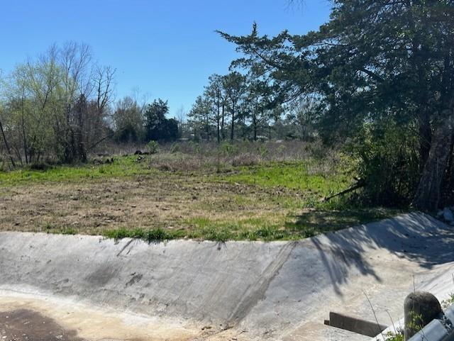Woodland Lane, Dayton, Texas image 11