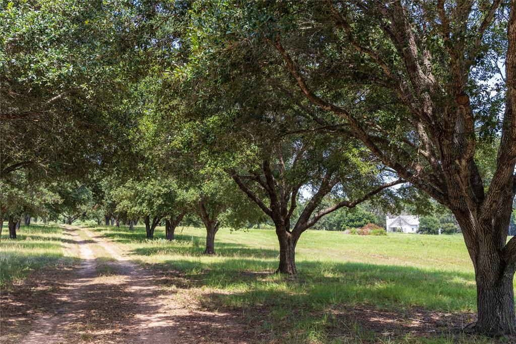 1853 Brunes Mill Road, Columbus, Texas image 1