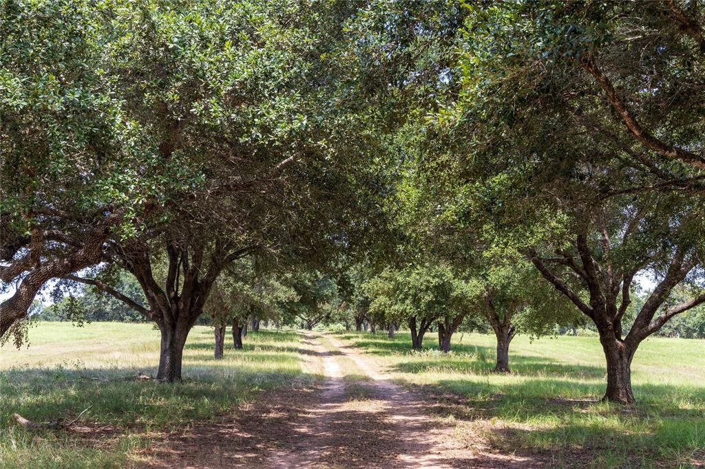 1853 Brunes Mill Road, Columbus, Texas image 30