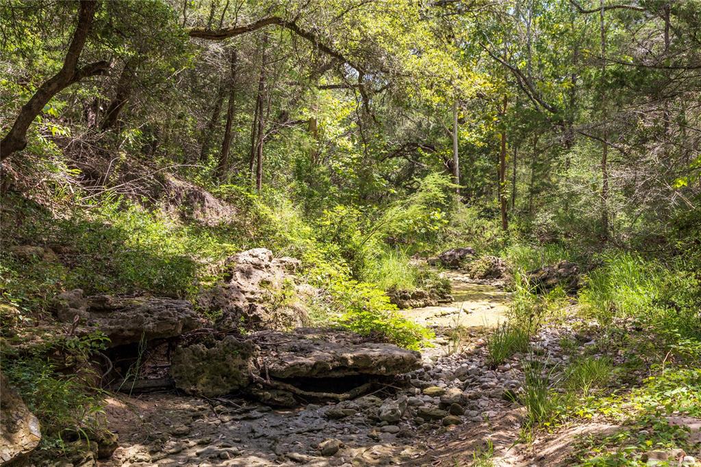 1853 Brunes Mill Road, Columbus, Texas image 29