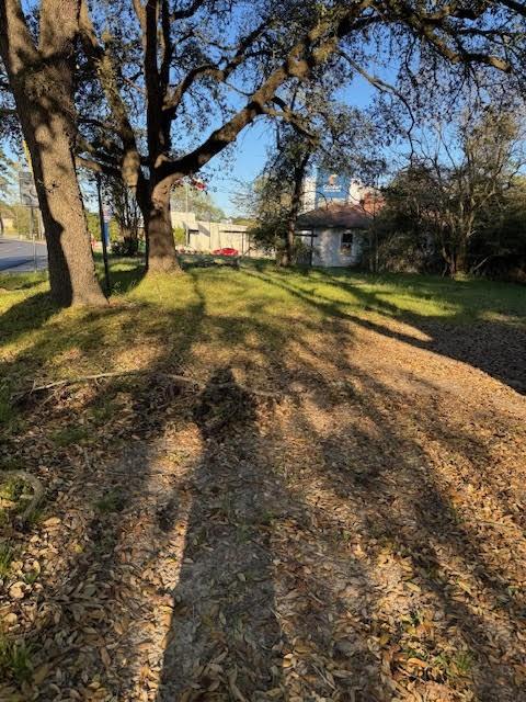 3117 3115 3107 Montgomery Road, Huntsville, Texas image 7