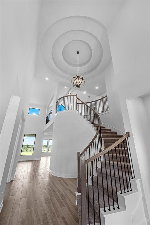 16271 Blue Mistflower Lane