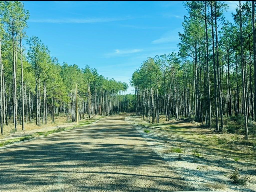 TBD Magnolia Creek Ranch Road, Onalaska, Texas image 3