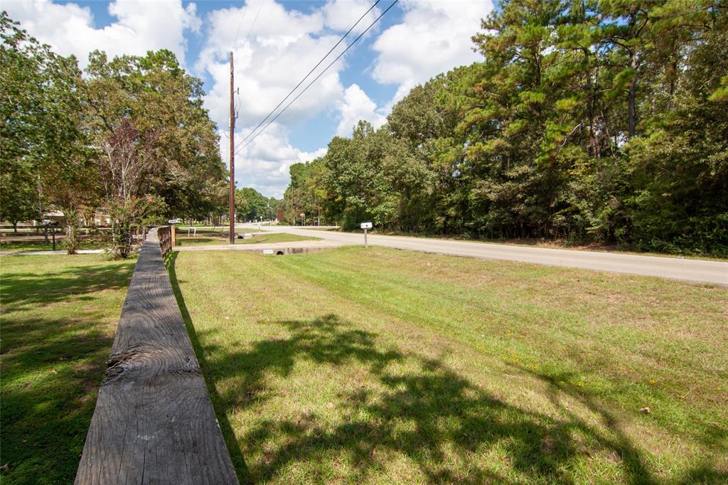 22519 Meadowsweet Drive, Magnolia, Texas image 4