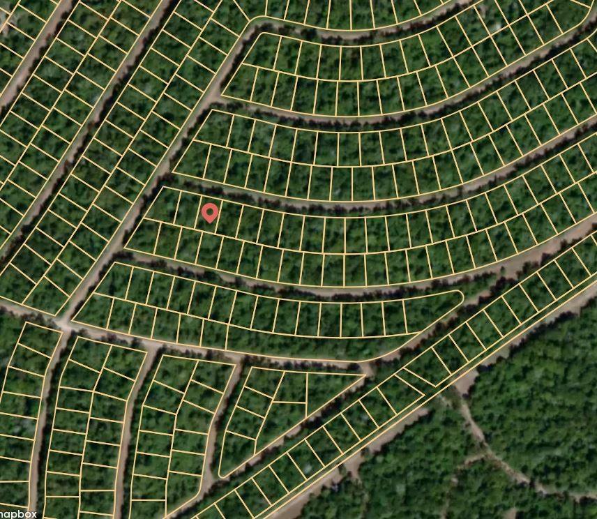 Lot 42 Celestial, Normangee, Texas image 3