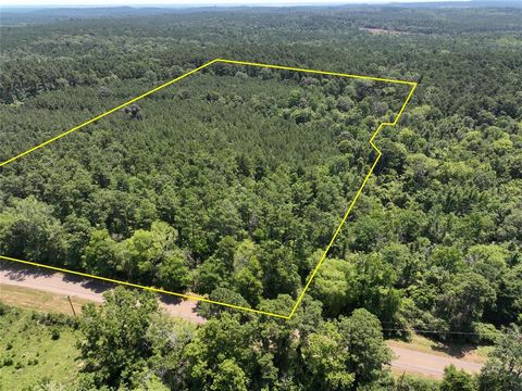 Photo of 9 Fm 330, Geneva, TX 75959 (MLS # 10274081)