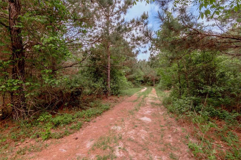 Us-287, Crockett, Texas image 43