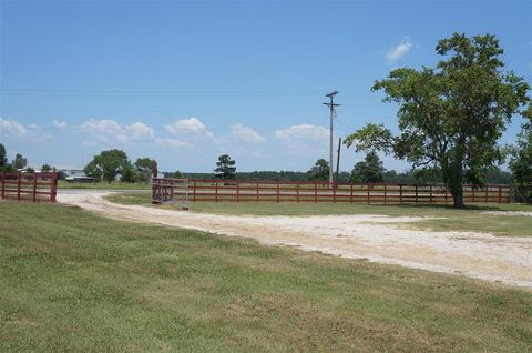 A home in Livingston