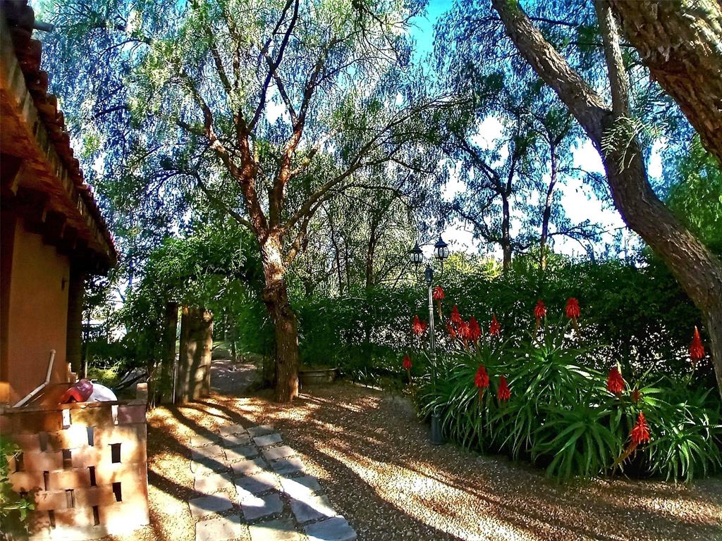 37897, Mexico, 3 Bedrooms Bedrooms, ,4 BathroomsBathrooms,Residential,Active,51552