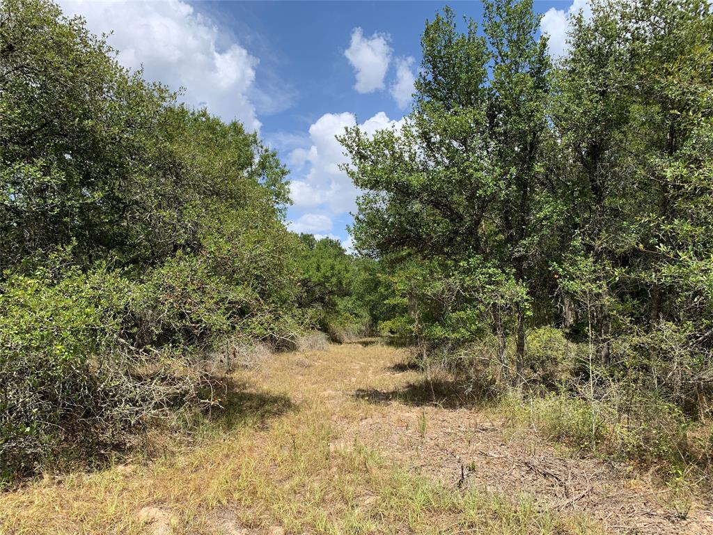 TBD Private Road 1581, Hallettsville, Texas image 6