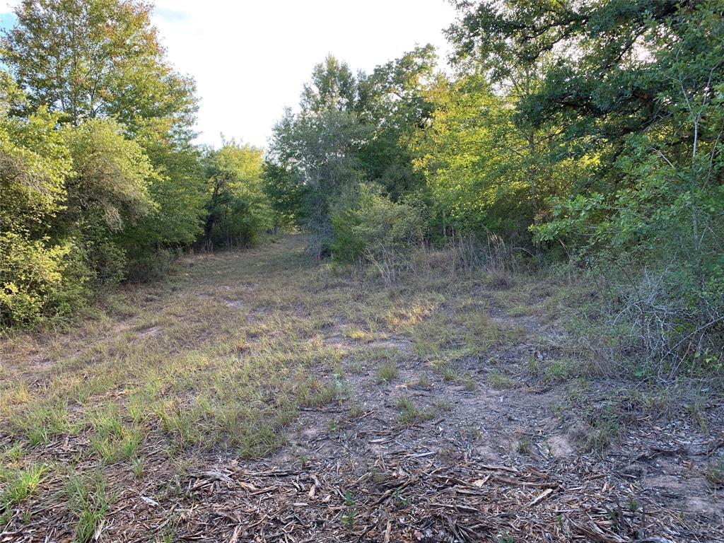 TBD Private Road 1581, Hallettsville, Texas image 17