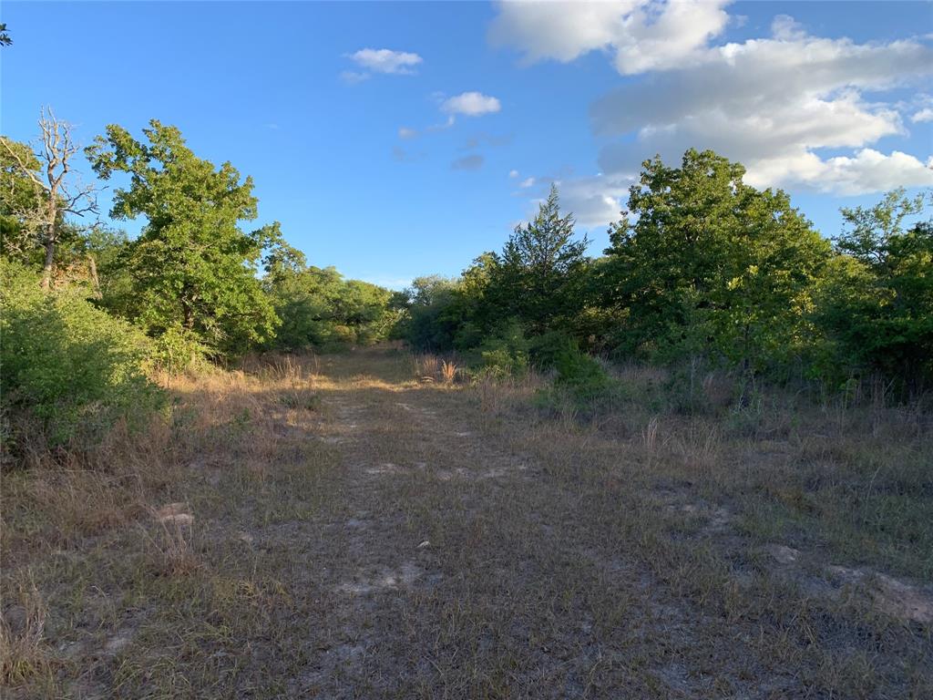 TBD Private Road 1581, Hallettsville, Texas image 18