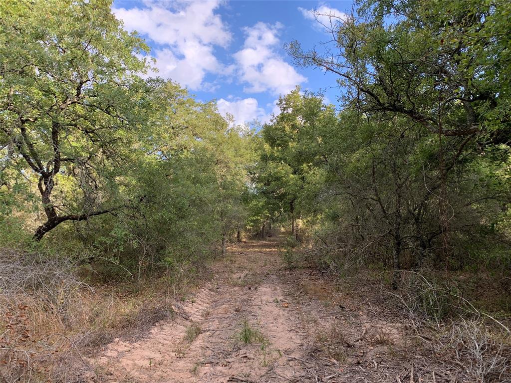 TBD Private Road 1581, Hallettsville, Texas image 16