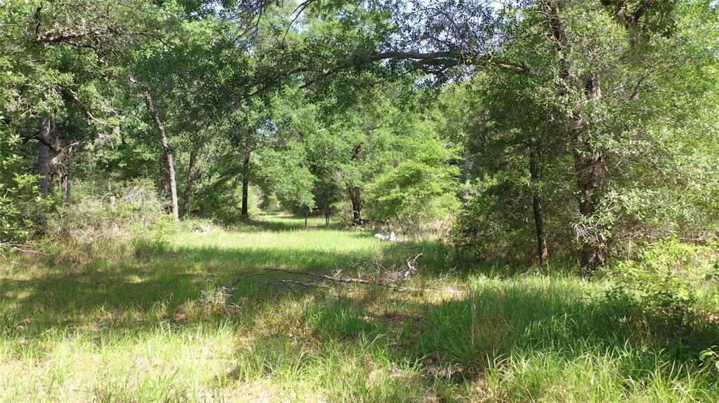 TBD Private Road 1581, Hallettsville, Texas image 9