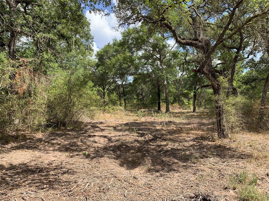 TBD Private Road 1581, Hallettsville, Texas image 8