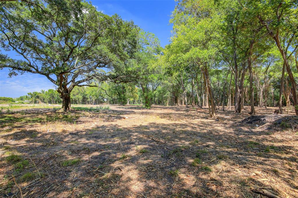 17827 S Hwy 35, Pearland, Texas image 9