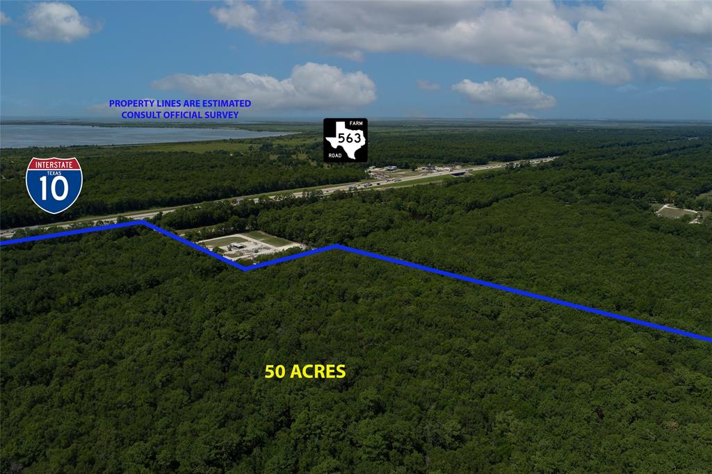 Wallisville 50 Acres I-10, Wallisville, Texas image 6