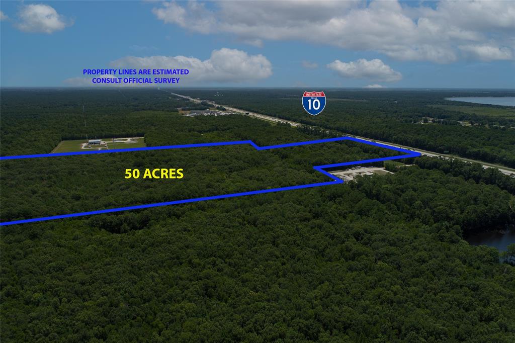 Wallisville 50 Acres I-10, Wallisville, Texas image 12