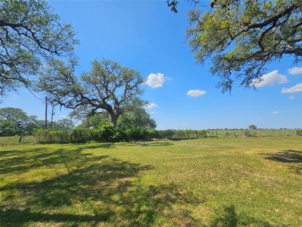 12446 Fm 531, Hallettsville, Texas image 15