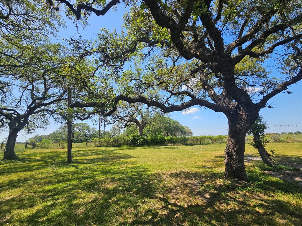 12446 Fm 531, Hallettsville, Texas image 16