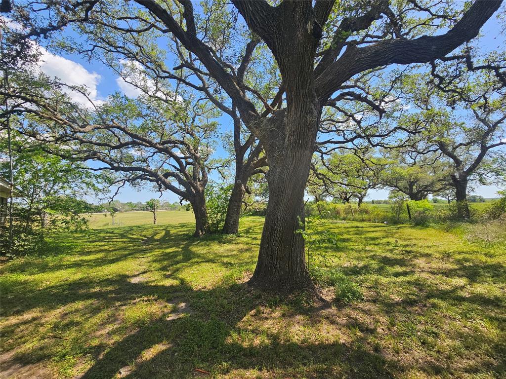 12446 Fm 531, Hallettsville, Texas image 13