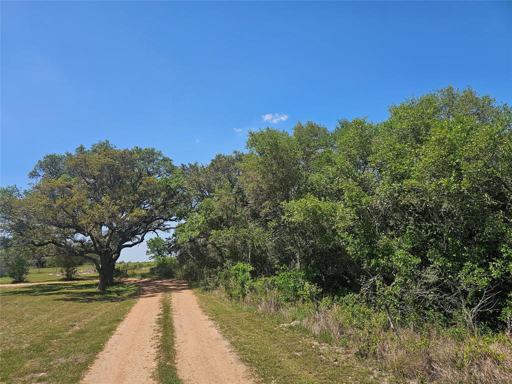 12446 Fm 531, Hallettsville, Texas image 2