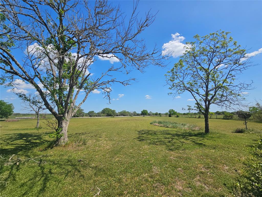 12446 Fm 531, Hallettsville, Texas image 3