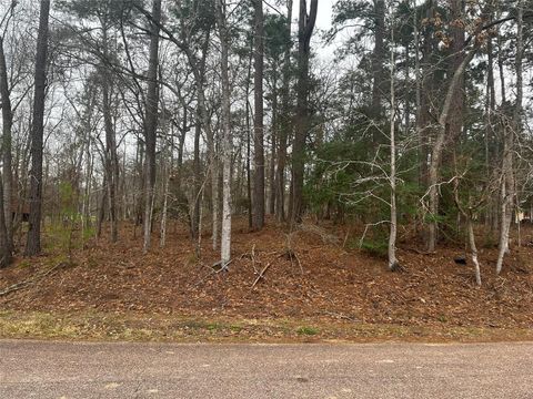 Photo of 101 S Royale Greens Drive, Coldspring, TX 77331 (MLS # 86279186)