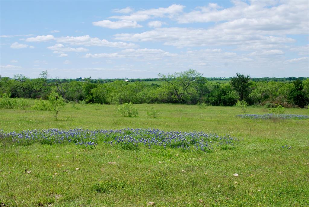1835 Lehmann Road, San Marcos, Texas image 34