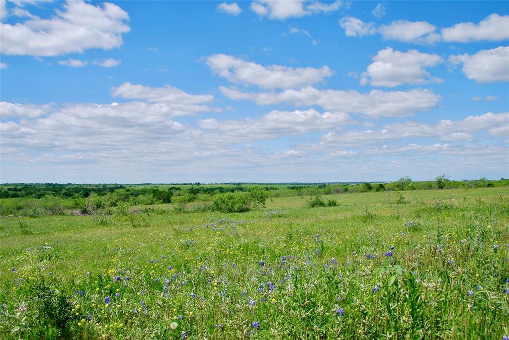 1835 Lehmann Road, San Marcos, Texas image 31