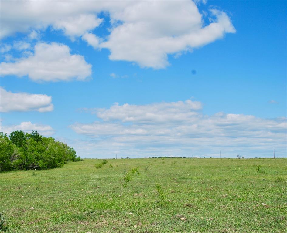 1835 Lehmann Road, San Marcos, Texas image 45