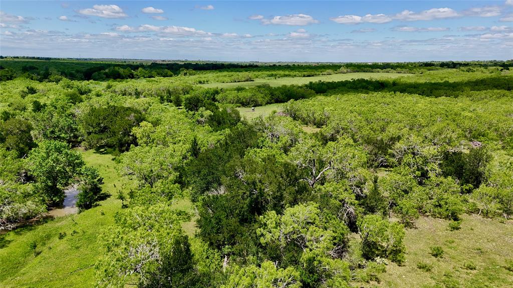 1835 Lehmann Road, San Marcos, Texas image 28