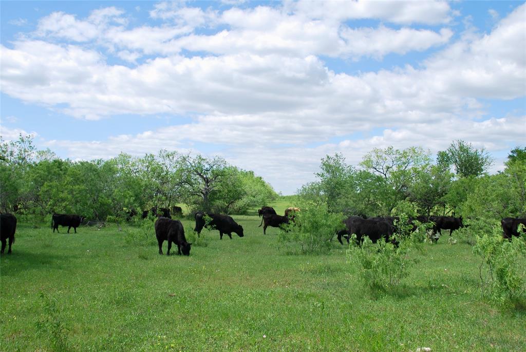 1835 Lehmann Road, San Marcos, Texas image 37