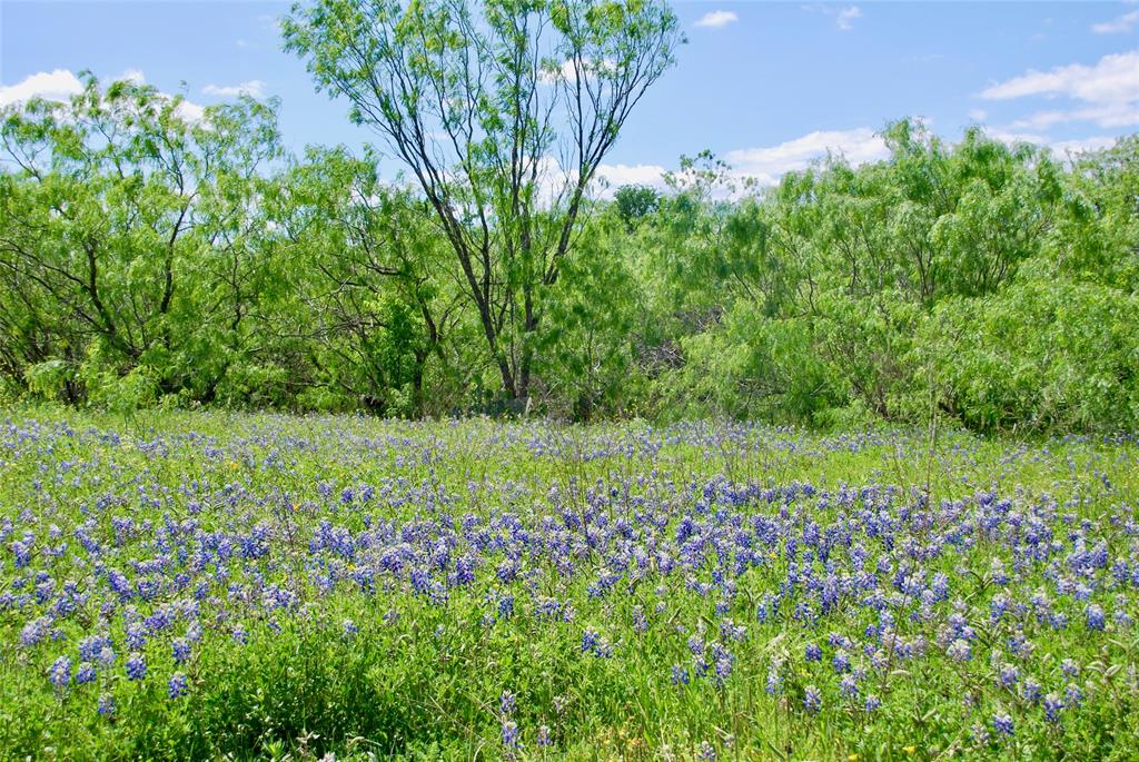 1835 Lehmann Road, San Marcos, Texas image 36