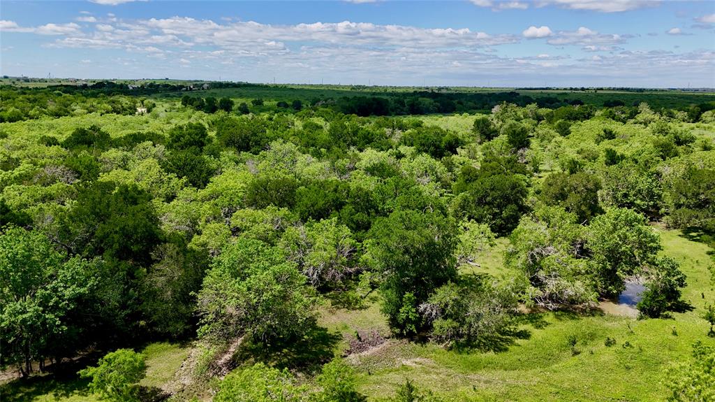 1835 Lehmann Road, San Marcos, Texas image 27