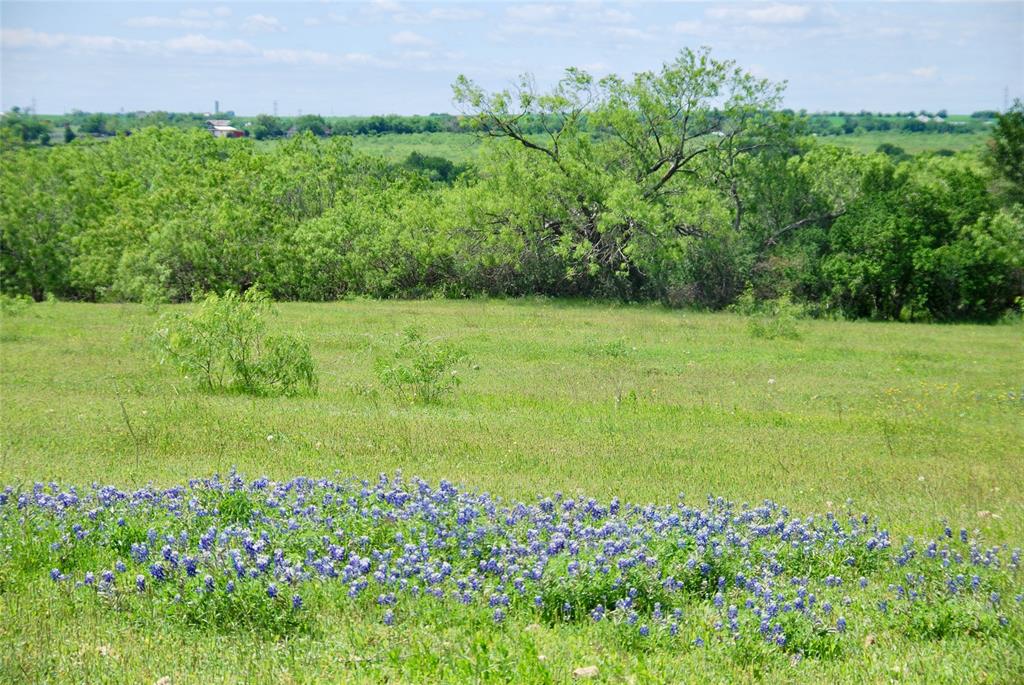1835 Lehmann Road, San Marcos, Texas image 18