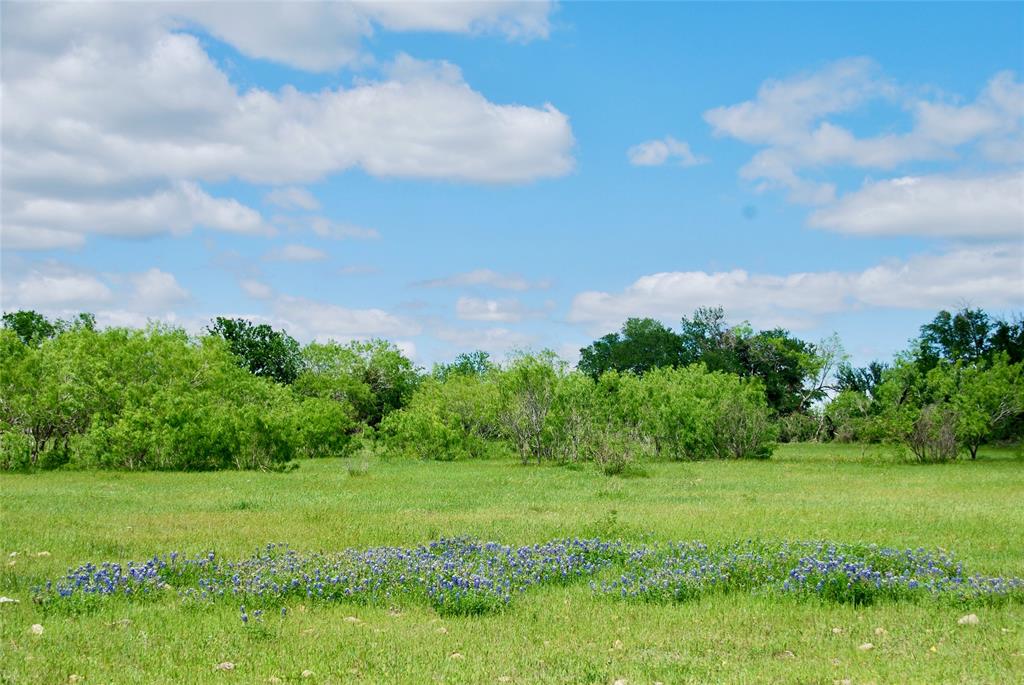 1835 Lehmann Road, San Marcos, Texas image 38