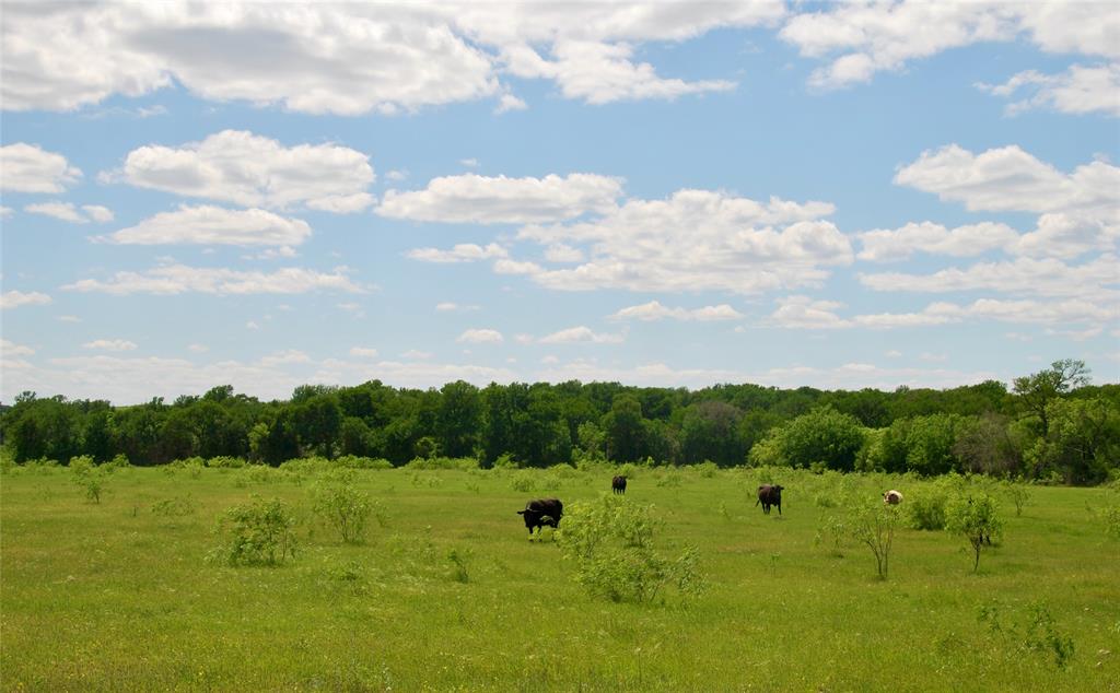 1835 Lehmann Road, San Marcos, Texas image 42