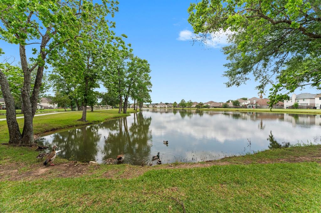 8303 Palmetta Spring Drive, Tomball, Texas image 44